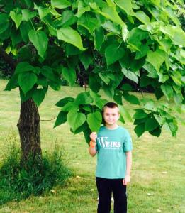 10357112_283117655204332_8932403232988637127_n