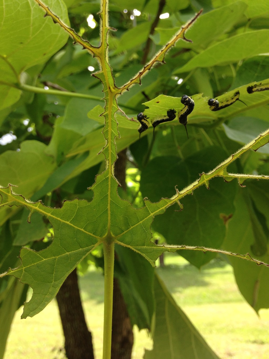 What is God Doing While Life Eats at&nbsp;You?