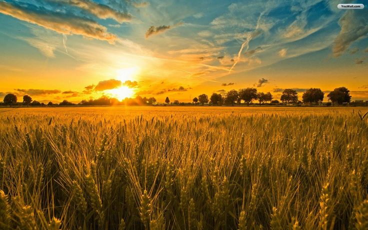 “Please Show me Your&nbsp;Glory”