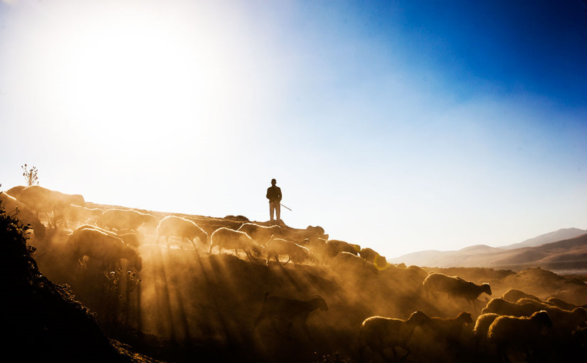 An Elder’s Example of Work and&nbsp;Giving